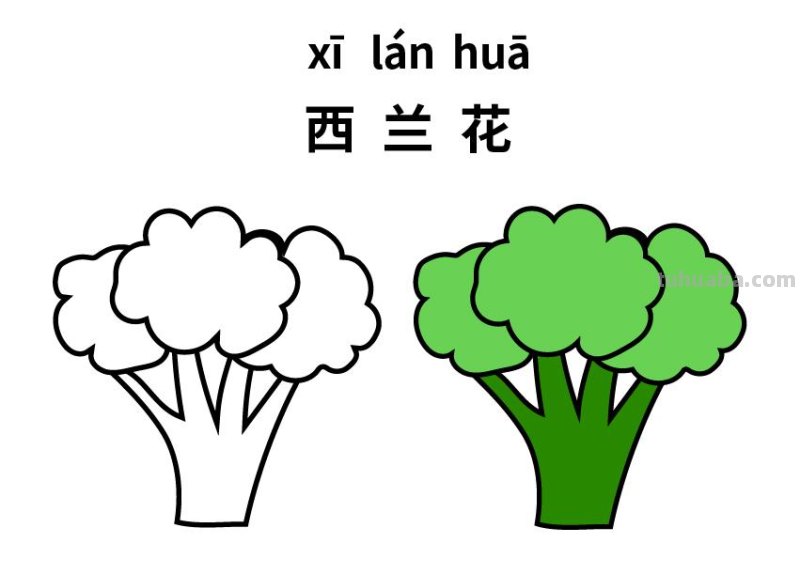 10种不同蔬菜的儿童简笔画素材，初学者简单实用，还能识字学画画