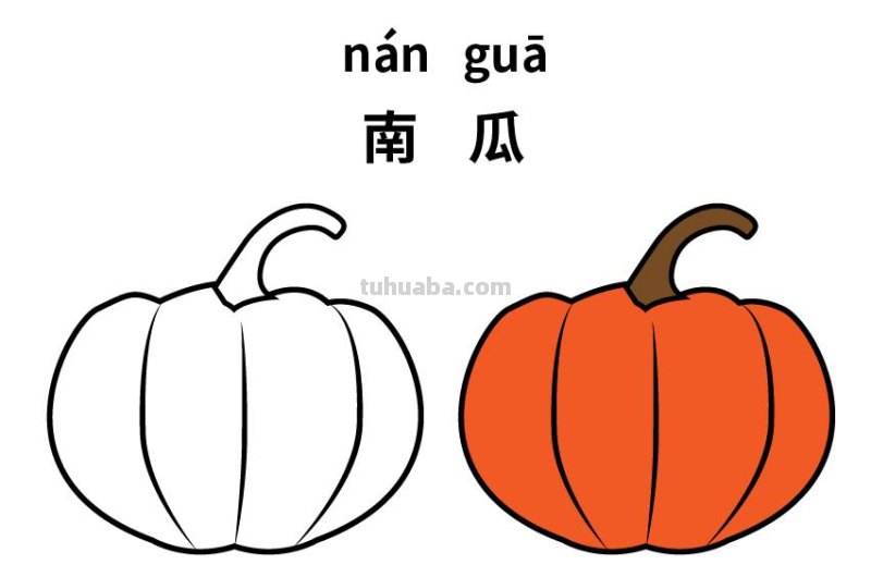 10种不同蔬菜的儿童简笔画素材，初学者简单实用，还能识字学画画