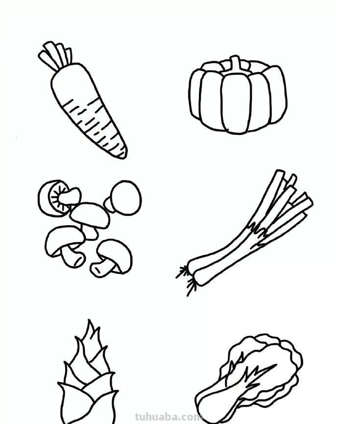 每天学一幅简笔画-超多水果蔬菜瓜果简笔画