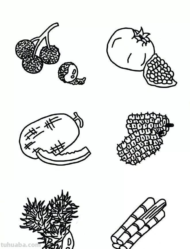 每天学一幅简笔画-超多水果蔬菜瓜果简笔画
