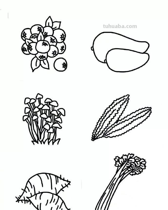 每天学一幅简笔画-超多水果蔬菜瓜果简笔画