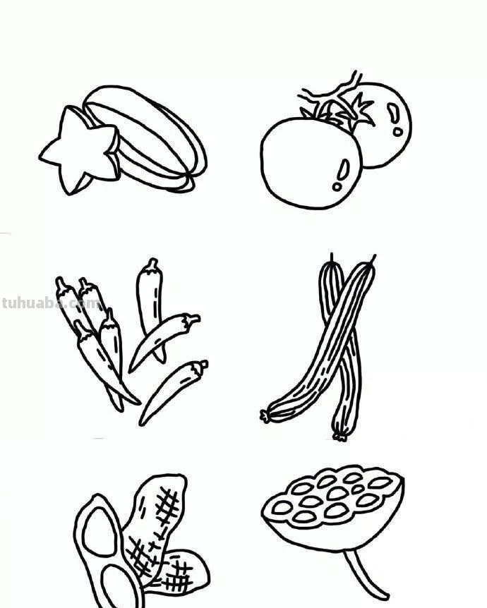 每天学一幅简笔画-超多水果蔬菜瓜果简笔画