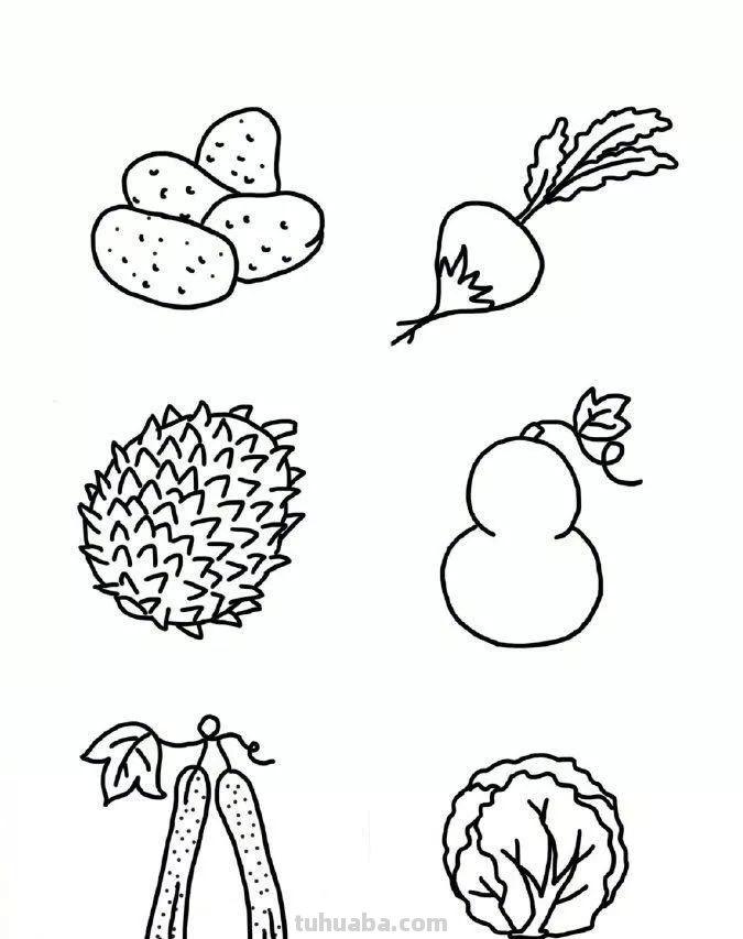 每天学一幅简笔画-超多水果蔬菜瓜果简笔画