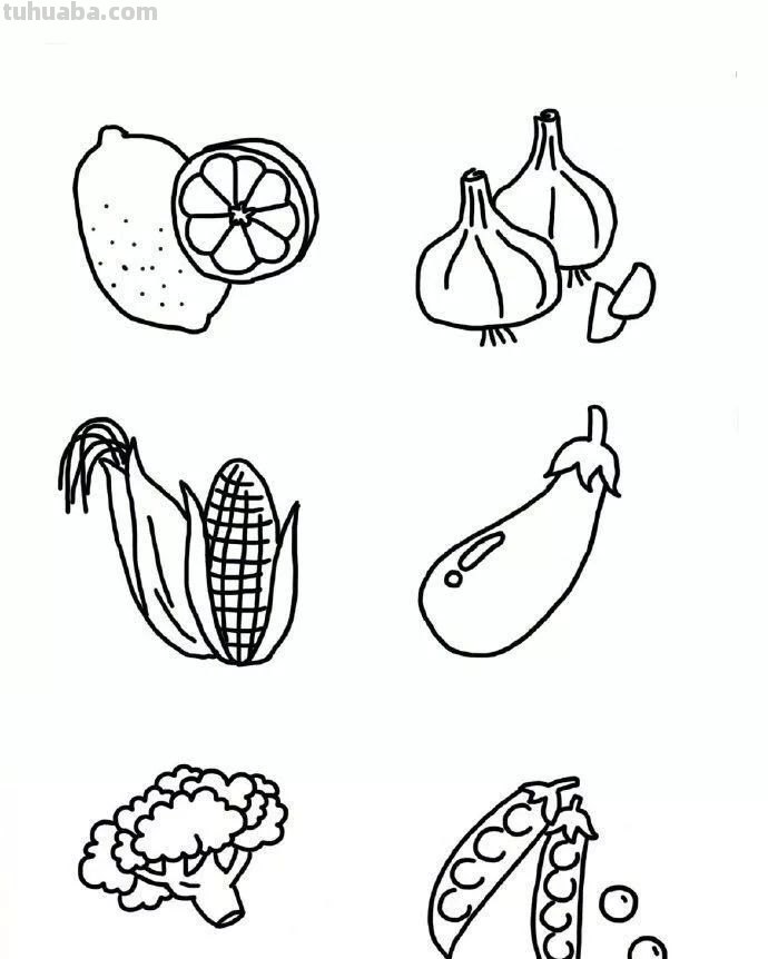 每天学一幅简笔画-超多水果蔬菜瓜果简笔画