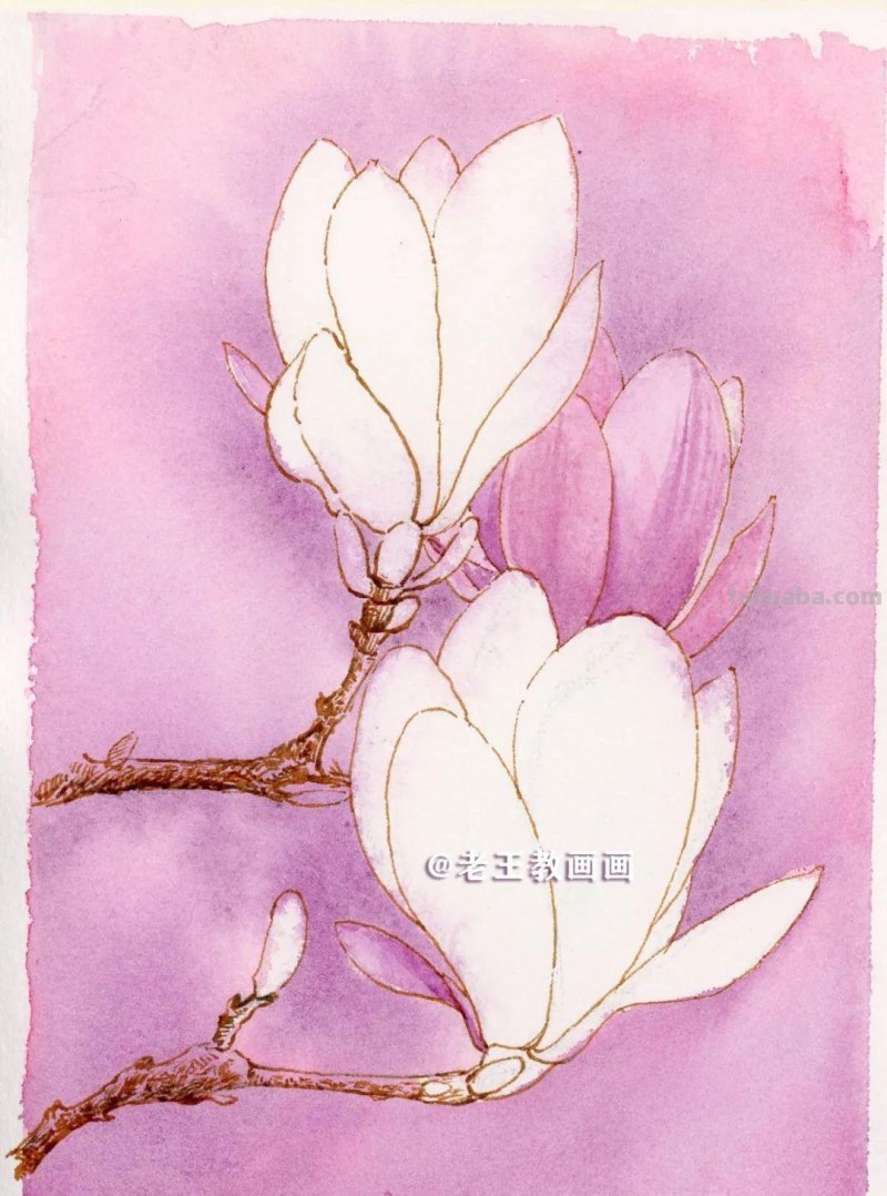 零基础也可以画水彩，教你画一朵玉兰花