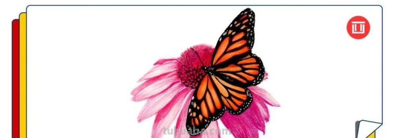 零基础也能画彩铅，教你画花蝴蝶