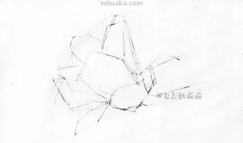 零基础也能轻松画出逼真玉兰花！超详细教程大揭秘！