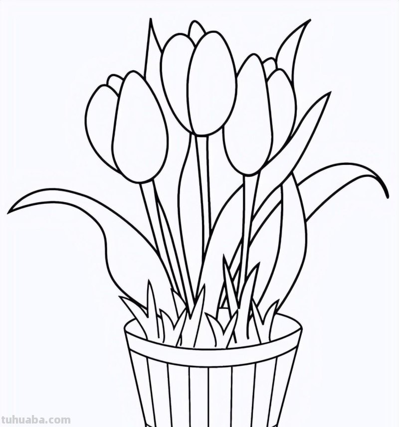 实用干货，50张花卉线稿，拿去画吧！