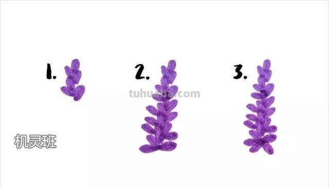 用彩铅怎么画薰衣草（用彩铅怎么画薰衣草图片）