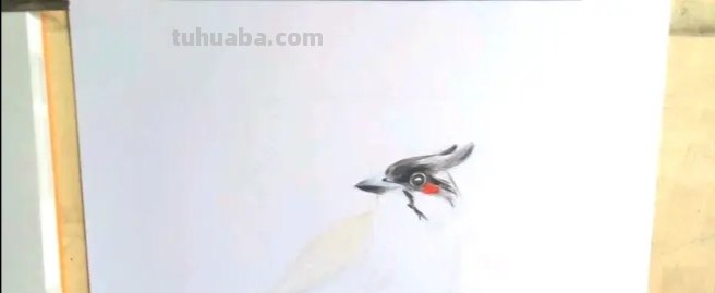 用彩铅怎么画薰衣草（用彩铅怎么画薰衣草图片）