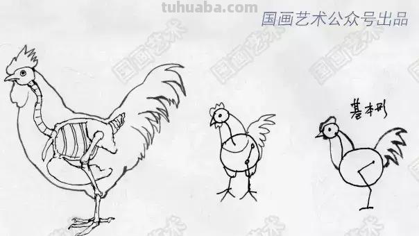 如何画好家禽动态简笔画？鸡、鸭基本形状的画法