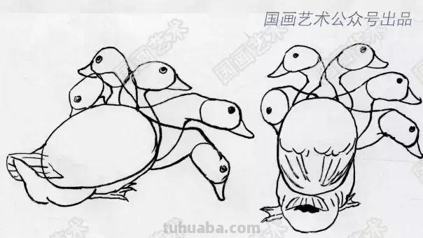 如何画好家禽动态简笔画？鸡、鸭基本形状的画法