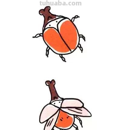 简笔画｜各种昆虫简笔画大全，寒假陪宝宝一起画，建议先收藏！