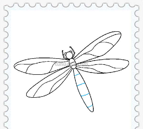 儿童简笔画精选「昆虫」-如何画一只漂亮的蜻蜓（Dragonfly）