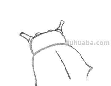 天牛工笔画线稿很难画？分步骤图解教你画，简单易学，快来临摹吧