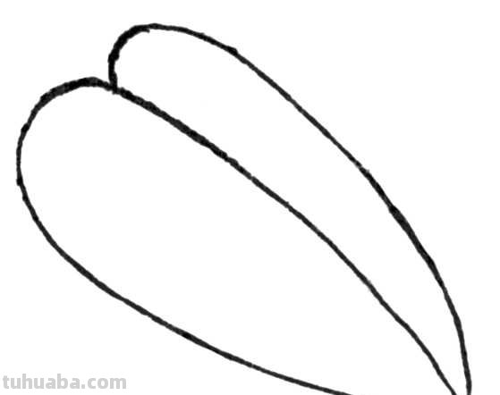 天牛工笔画线稿很难画？分步骤图解教你画，简单易学，快来临摹吧