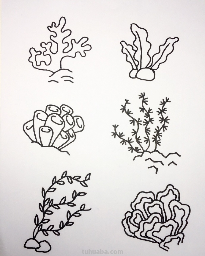 海底世界大海小鱼珊瑚简笔画大全~