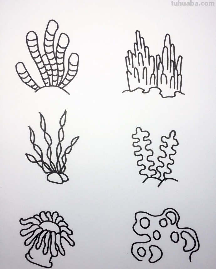 海底世界大海小鱼珊瑚简笔画大全~