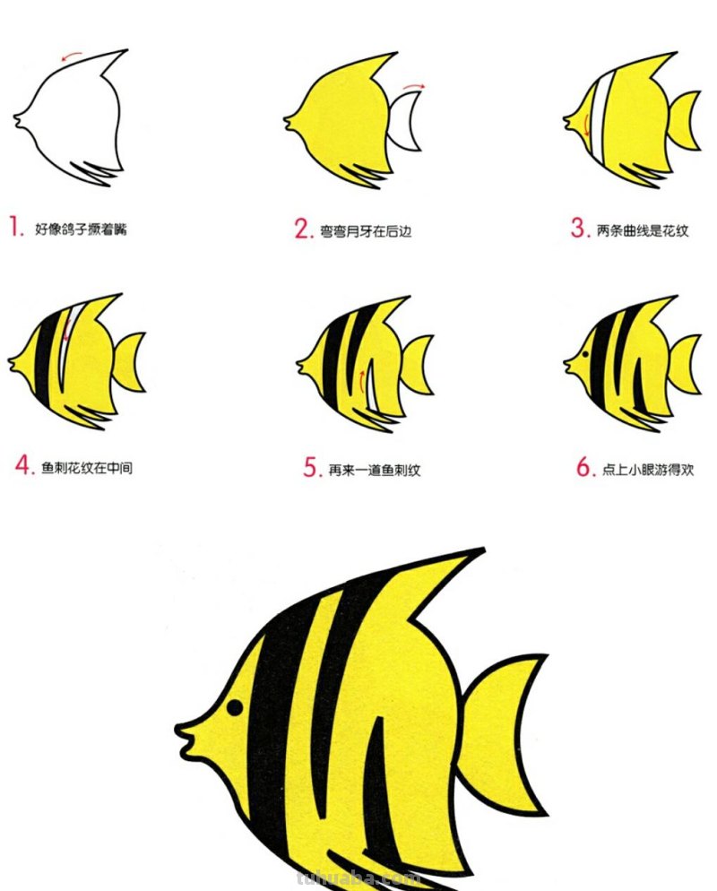 8种海洋鱼类育儿简笔画，可爱好看又好画，为宝宝收藏起来