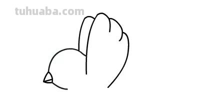 每天学一幅简笔画-小鸟的绘画分解步骤