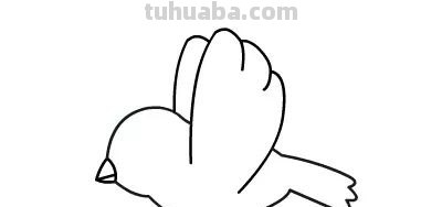 每天学一幅简笔画-小鸟的绘画分解步骤