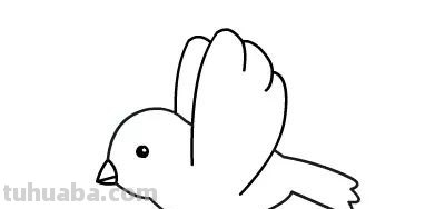 每天学一幅简笔画-小鸟的绘画分解步骤