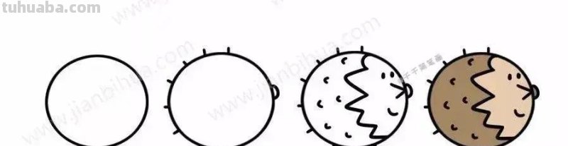 40组超萌的小动物头像简笔画，快来学习吧~