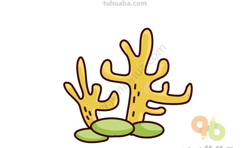 来一波超萌超简单的海洋生物简笔画吧，手绘手帐！