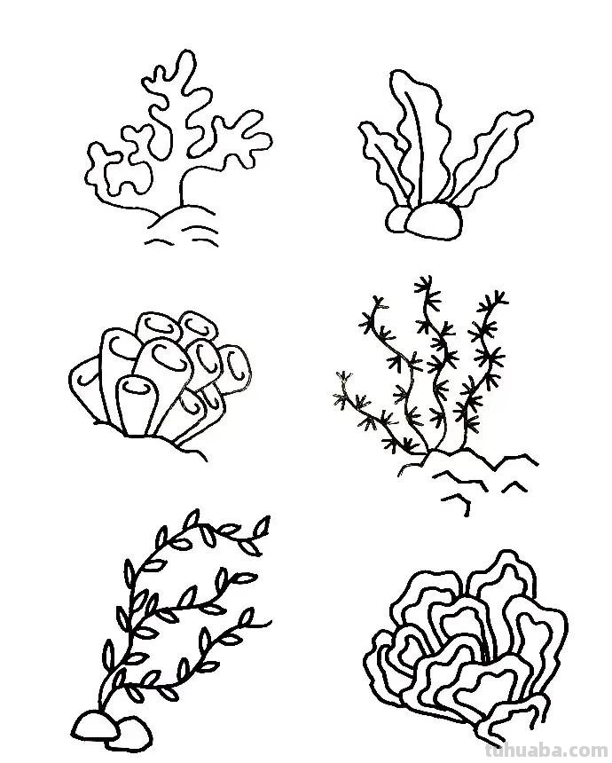 这是我见过画海洋生物简笔画，最全的资料了，教孩子必备，收藏！