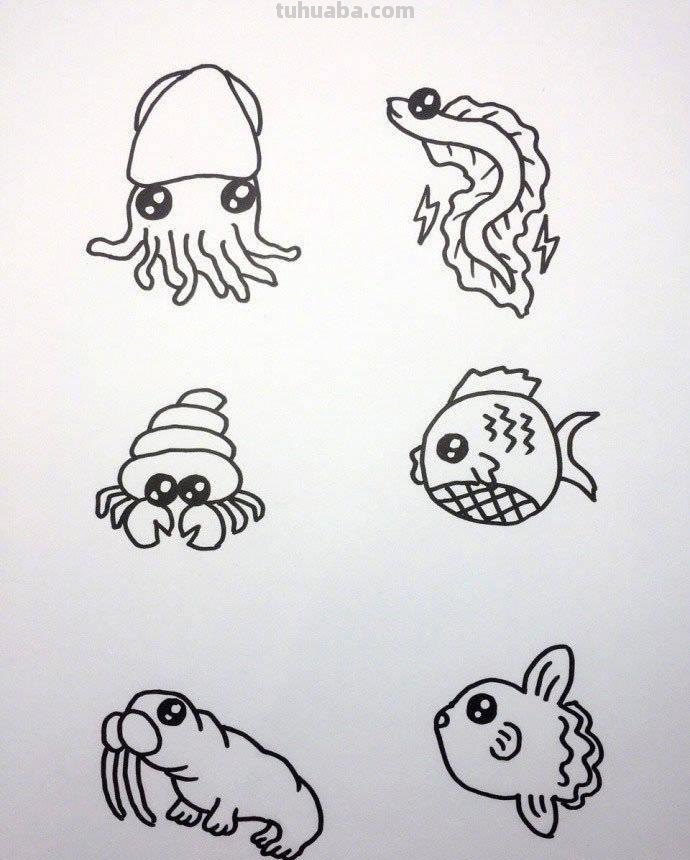 各种海洋动物的72种简笔画法，超级实用的素材！（建议收藏）