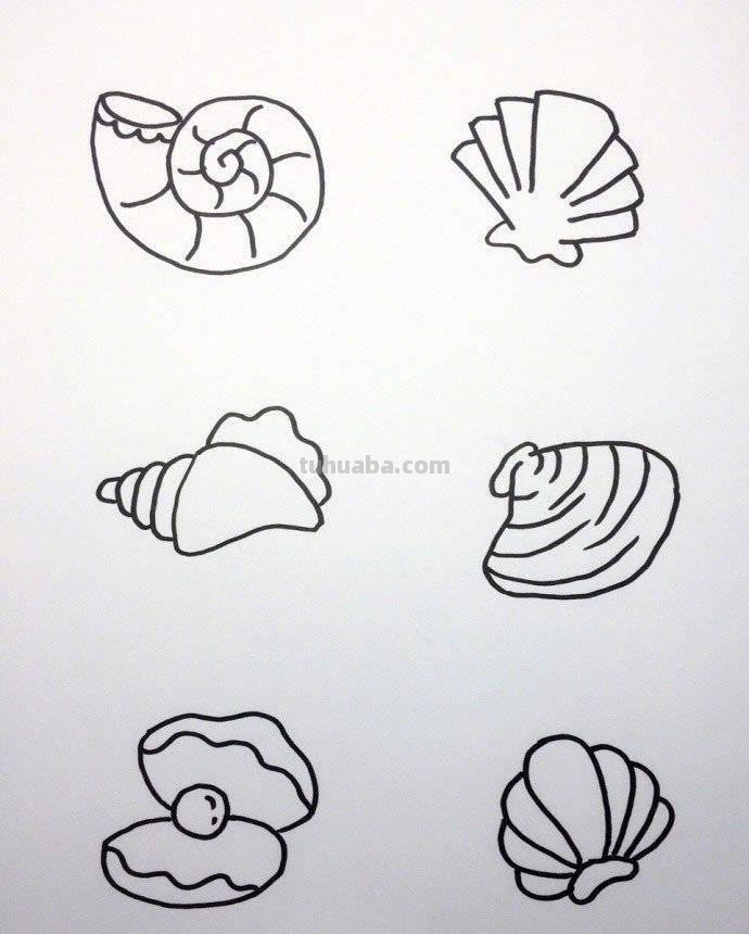 各种海洋动物的72种简笔画法，超级实用的素材！（建议收藏）