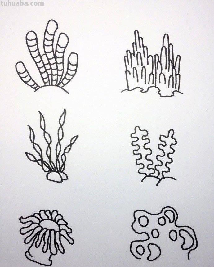 各种海洋动物的72种简笔画法，超级实用的素材！（建议收藏）