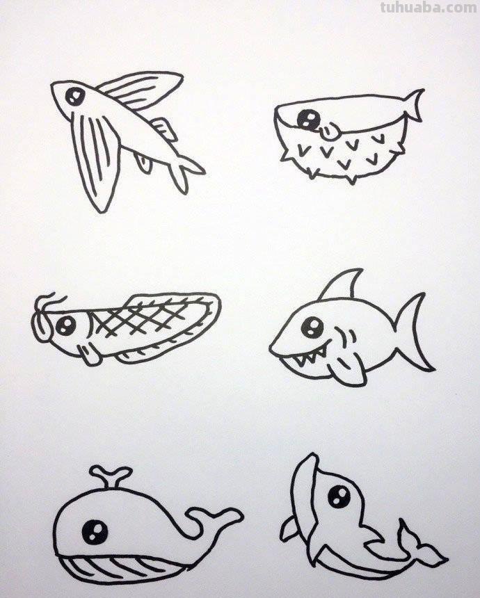 各种海洋动物的72种简笔画法，超级实用的素材！（建议收藏）