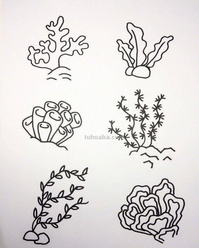 各种海洋动物的72种简笔画法，超级实用的素材！（建议收藏）