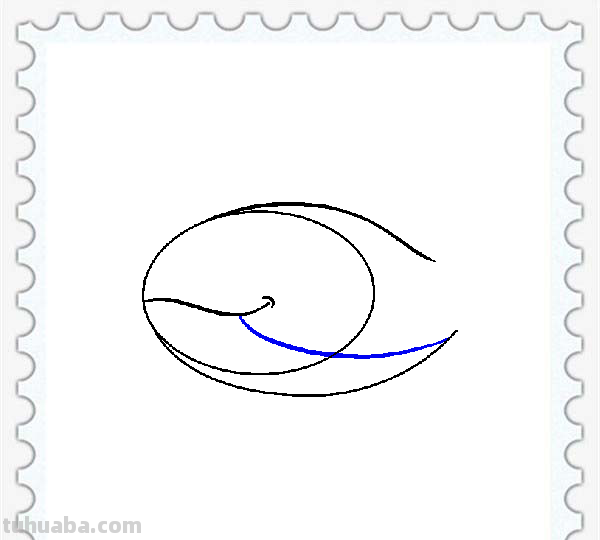 儿童简笔画精选「海洋动物」-鲸鱼（Whale）的绘画步骤