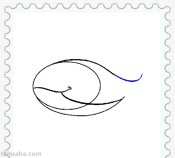 儿童简笔画精选「海洋动物」-鲸鱼（Whale）的绘画步骤