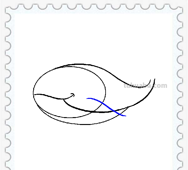 儿童简笔画精选「海洋动物」-鲸鱼（Whale）的绘画步骤