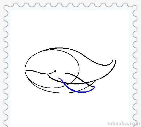 儿童简笔画精选「海洋动物」-鲸鱼（Whale）的绘画步骤