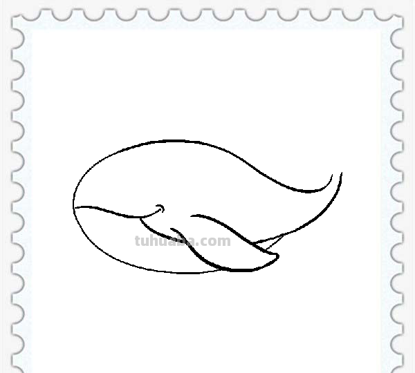 儿童简笔画精选「海洋动物」-鲸鱼（Whale）的绘画步骤