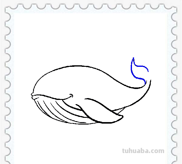 儿童简笔画精选「海洋动物」-鲸鱼（Whale）的绘画步骤