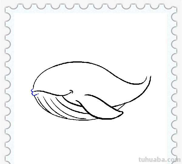 儿童简笔画精选「海洋动物」-鲸鱼（Whale）的绘画步骤