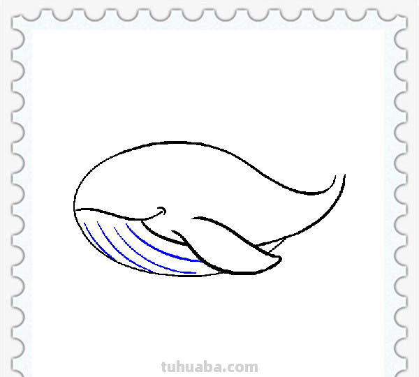 儿童简笔画精选「海洋动物」-鲸鱼（Whale）的绘画步骤