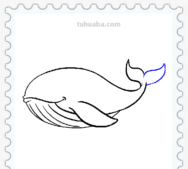 儿童简笔画精选「海洋动物」-鲸鱼（Whale）的绘画步骤