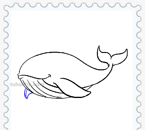 儿童简笔画精选「海洋动物」-鲸鱼（Whale）的绘画步骤