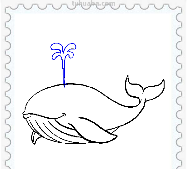 儿童简笔画精选「海洋动物」-鲸鱼（Whale）的绘画步骤