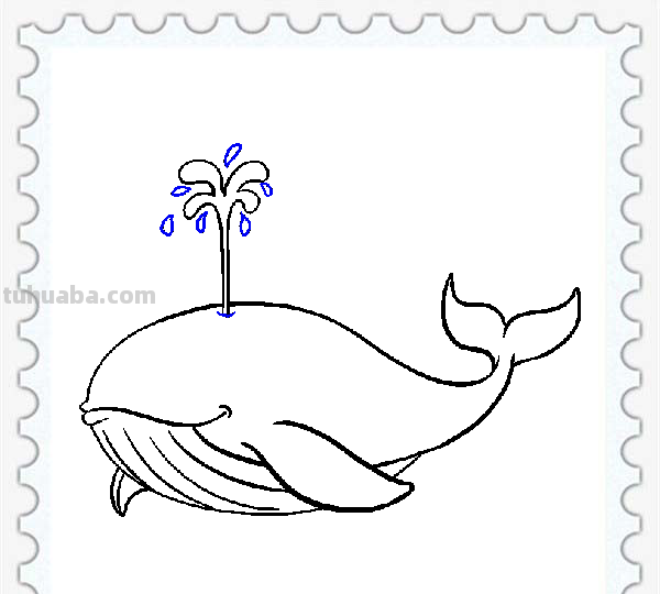 儿童简笔画精选「海洋动物」-鲸鱼（Whale）的绘画步骤