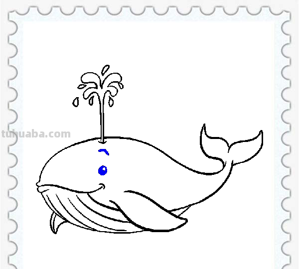 儿童简笔画精选「海洋动物」-鲸鱼（Whale）的绘画步骤