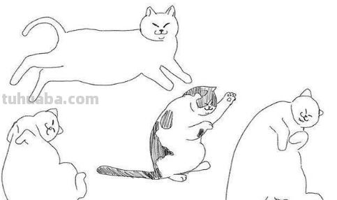 软萌可爱的100种猫咪简笔画，超级实用的素材！（建议收藏）