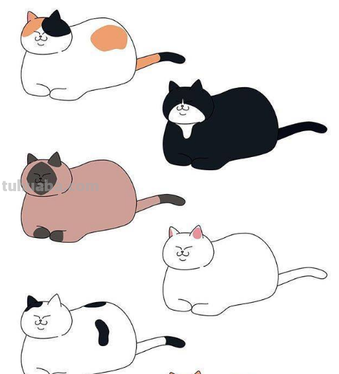 软萌可爱的100种猫咪简笔画，超级实用的素材！（建议收藏）
