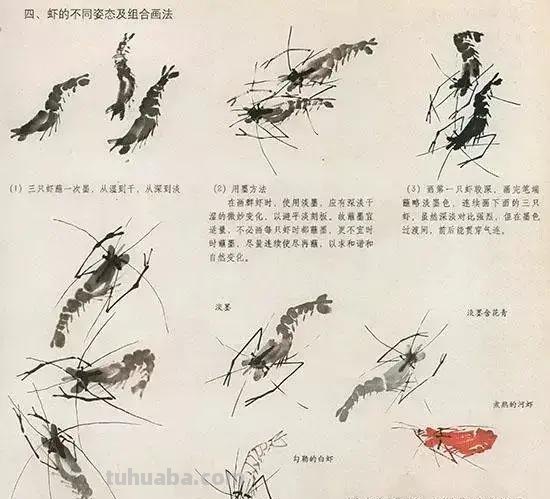 国画花鸟技法：几种虫儿、鸟儿的画法